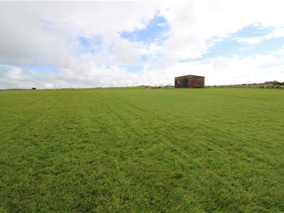 Picture 45
